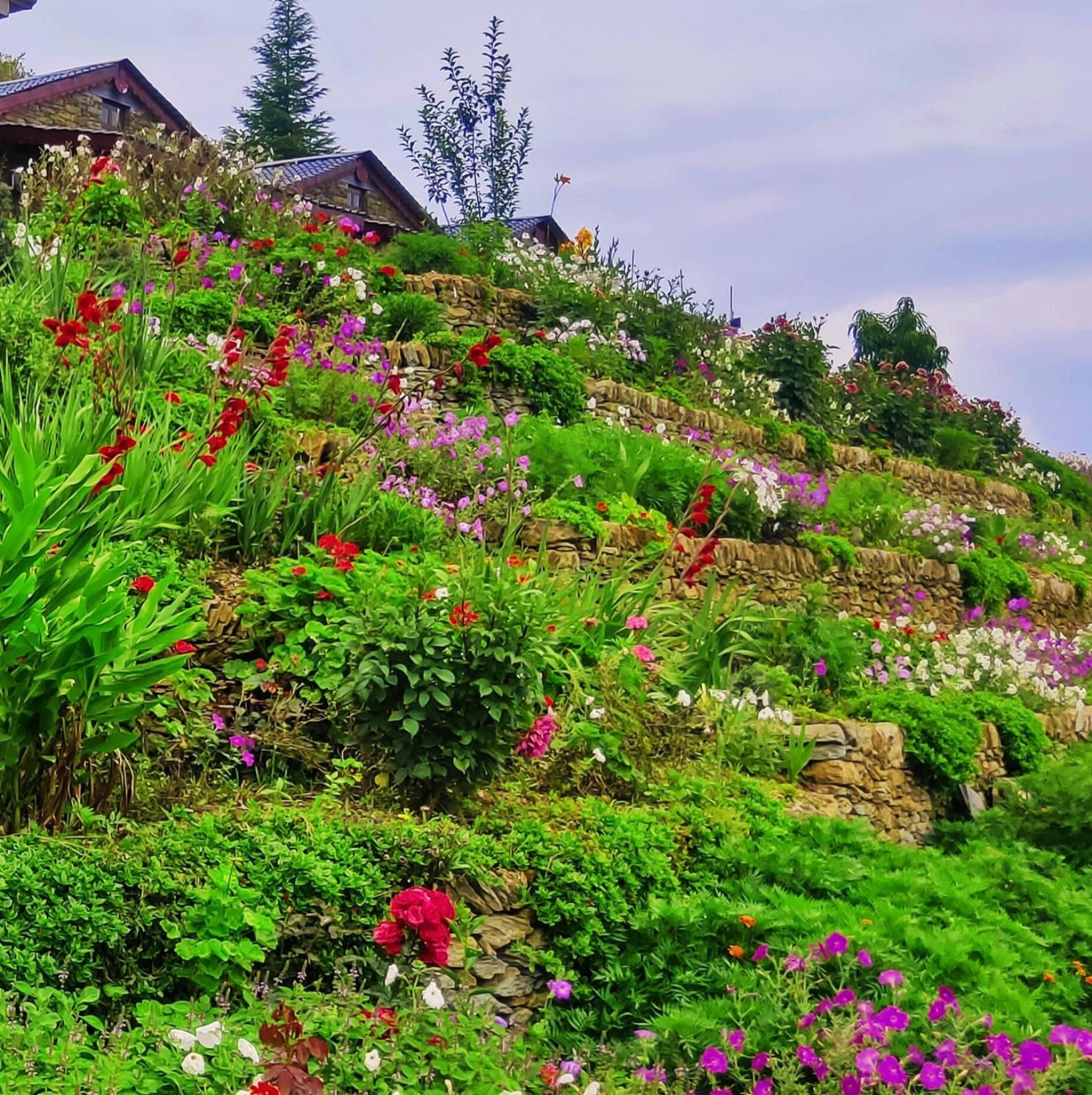 Meraki Huts Pauri Luaran gambar